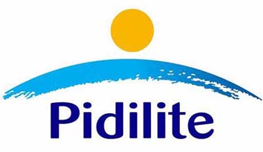 1-Pidilite-industries-limited
